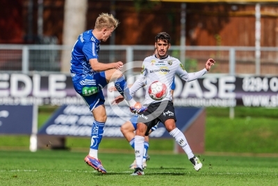 Hartberg vs. Altach