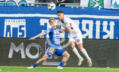 Hartberg vs. Sturm Graz