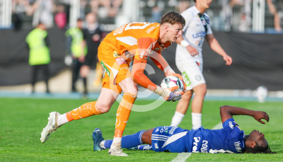 Hartberg vs. Sturm Graz