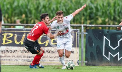 Ilzer SV vs. Wildon