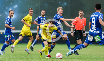 Lafnitz vs. Hartberg