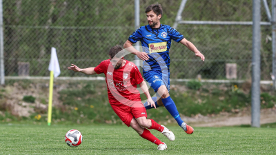 Lobmingtal vs. Murau