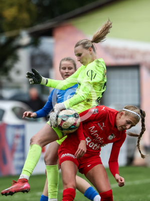 LUV Graz vs. Wild Cats Krottendorf