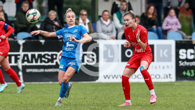 LUV Graz vs. Wild Cats Krottendorf