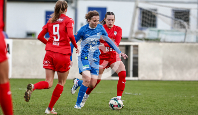 LUV Graz vs. Wild Cats Krottendorf