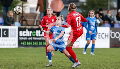 LUV Graz vs. Wild Cats Krottendorf