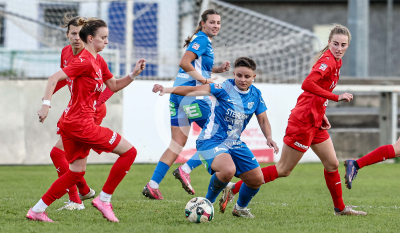 LUV Graz vs. Wild Cats Krottendorf