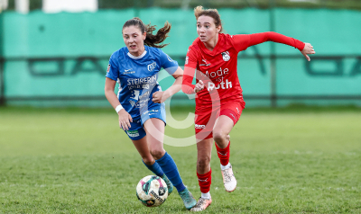 LUV Graz vs. Wild Cats Krottendorf