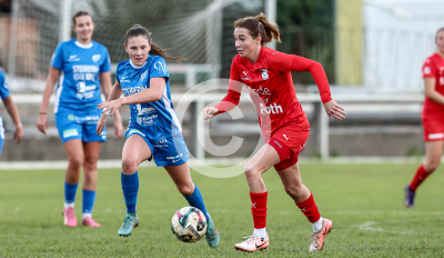 LUV Graz vs. Wild Cats Krottendorf