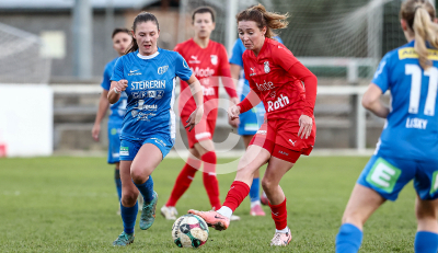 LUV Graz vs. Wild Cats Krottendorf