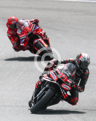 MotoGP