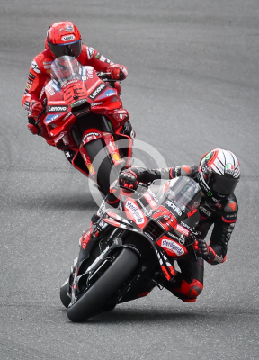 MotoGP