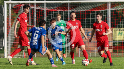 Pachern vs. Eggendorf Hartberg Amateure