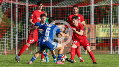 Pachern vs. Eggendorf Hartberg Amateure