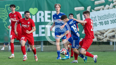 Pachern vs. Eggendorf Hartberg Amateure