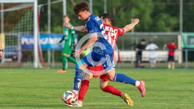 Pachern vs. Eggendorf Hartberg Amateure