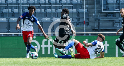 Sturm Graz vs. Hamburger SV
