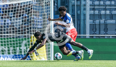 Sturm Graz vs. Hamburger SV