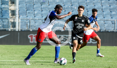Sturm Graz vs. Hamburger SV
