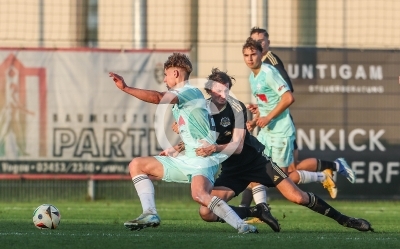 Tillmitsch vs. Eggendorf Hartberg Amateure