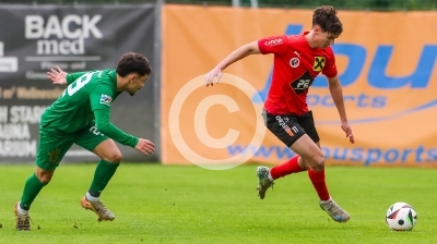 Wildon vs. DSV Leoben