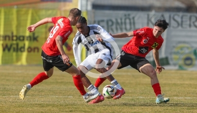 Wildon vs. LASK Amateure